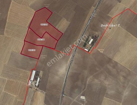 Kırşehir Ortaköy Yolu Üzeride Dedeli De Tarlalar