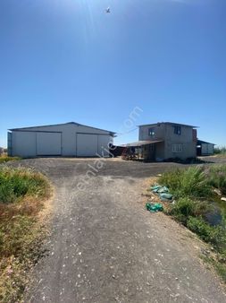 Bursa Karacabey Canboluda Satılık Çiftlik Depo