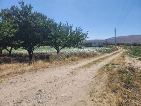 Kayseri Yeşilhisar İlçesi Satılık Bahçe