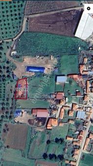 Uygar Gayrimenkul Burhaniye Hisarköy De Satılık 794 M2 Tarla