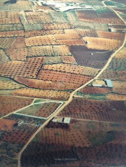 Ayyıldız Emlaktan 6.140 M2 Asvalt Yol Üzeri Zeytinlik