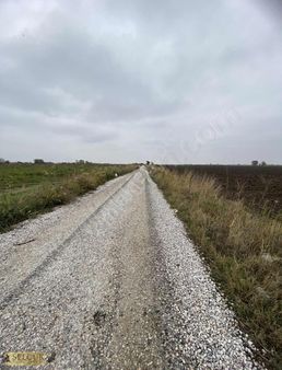 Selçuktan Yeni Harmandalı Da Satılık Tarla