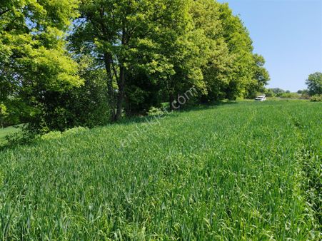 9.650 M2 Çiftlik, Bağ-bahçe, Hobi Bahçe, Kadastro Yola Cepheli