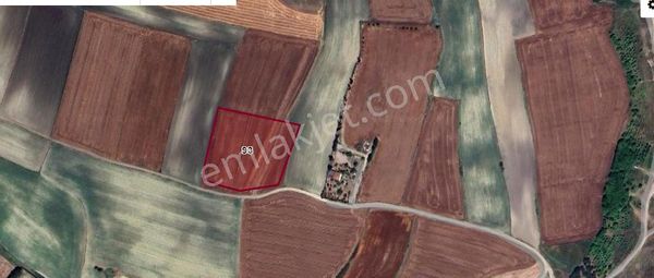 Arnavutköy Sazlıbosna Satılık Arsa , 267 M2 Yolu Var Evlerin Yakını İmarlı