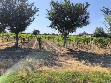 Manisa Yeni Garaj Arkası 4.500m2 Direkli Bağ 9.900.000 Tl