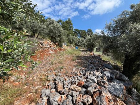 Dalaman Sarsala'da, Deniz Manzaralı Satılık Tarla!
