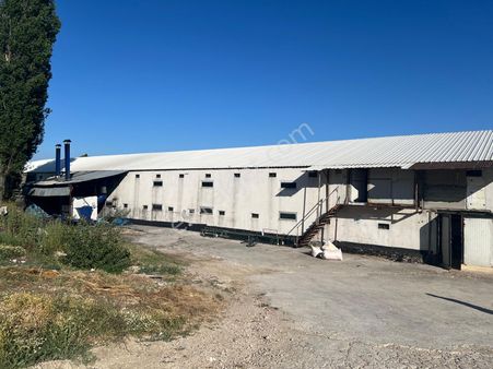 Remax Hür Ülkü Çakar'dan Sakarya Taraklı Harkköy'de Satılık Ruhsatlı Ve Aktif Tavuk Çiftliği