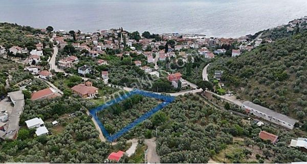 Kumyaka Merkezde İmara Sınır Yatırımlık Fırsat Arazi