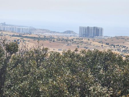 Kktc İskele'de Satılık Tarla, Çok Verimli, Fırsat Fiyatla (3)