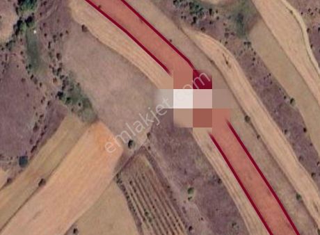 Bektaspınar Mahallesi'nde 9871 M² Satılık Tarla