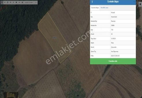 İhsaniye’de Köy Manzaralı, Yeşillikler İçinde 3128 M² Arazi