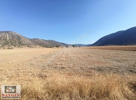 Saygın Dan Tavas / Garipköy De 3.700 M2 Fırsat Satılık Tarla