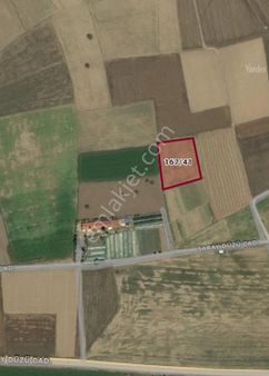 Afyon Saraydüzünde Satılık Tarla