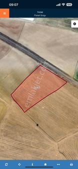 Asrın Emlak’tan Ulaş Ekincioğlu Köyünde Satılık 7.940 Mt Bağbahçe Veya Ahır Yapılabilir Tarla