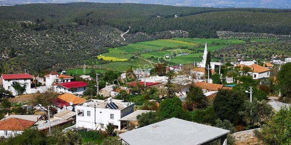 Milas Kemiklerde Doğayla İç İçe 794m² Satılık Konut İmarlı Arsa