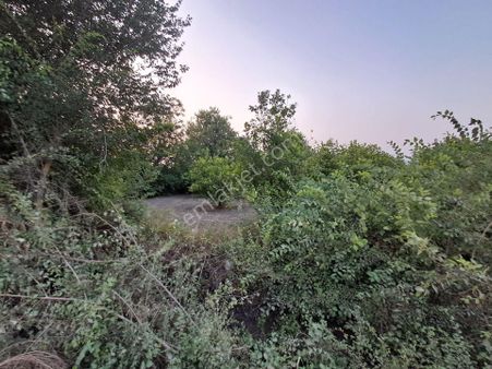 Günaydın Emlak'tan Akıncıda 9600 M2 Tek Tapu Satılık Tarla