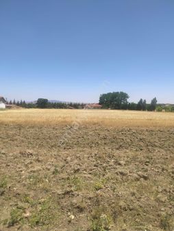 M-88 Taşlıkköy Mahallesi Satılık Çiftlik