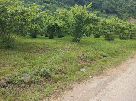 61nostalji Emlaktan Satılık Arsa