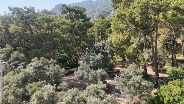 Hayal Emlak'tan Muğla Akyaka (akbük' Te) Satılık Deniz Manzaralı Tarla