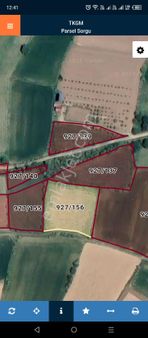 Gümüşhacıköy Gümüş Hüyük Tepe Mevkii Satılık Bağ Yeri