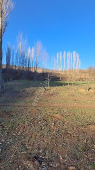 Karacaören Köyü Mustakil Parsel 1.134m2 Hobi Bahçesi Yapılabilir