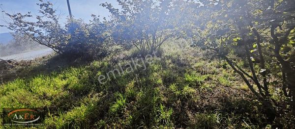 Müstakil Tapu Manzaralı