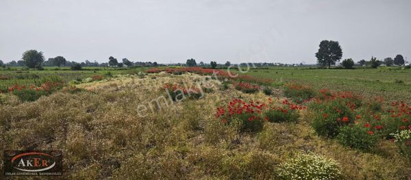Köy İçine Yakın Konumda Yatırımlık