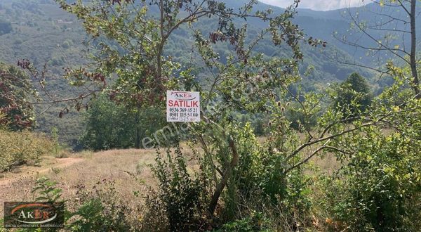 İmarlı Müstakil Tapu Tabiatla Başbaşa