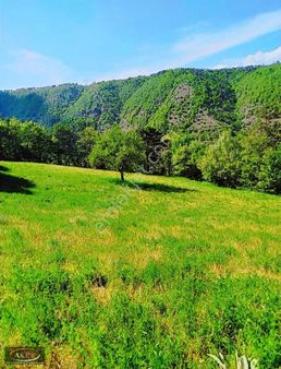 Doğayla Başbaşa 6100 Metrekare Müstakil Tapu