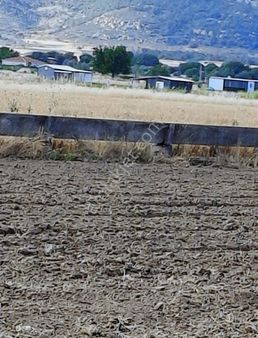 Foça Erenköyde 12150 M2 Kupon Arazim Satılıktır