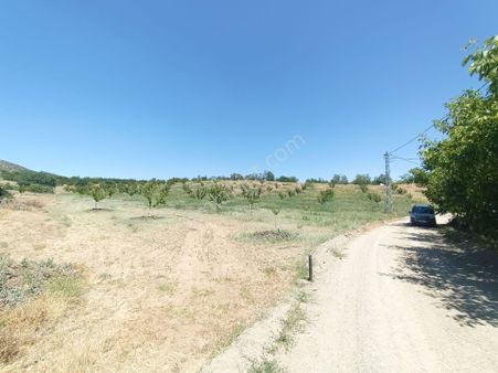 Turanlar Gayrimenkul'den Elazığ Baskil Koçyolu Köyünde Satılık Yetişmiş Bahçe