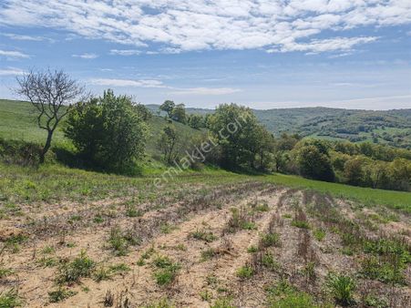 29.450 M2 Tarla Yola Cepheli Bağ-bahçe, Hobi Bahçe, Yatırımlık