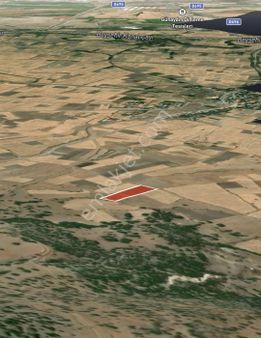 Seydişehirde Satılık Müstakil Parsel Tarla