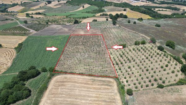 Kocaeli Karamürsel Yalakdere Satılık Tarla 14836 M2