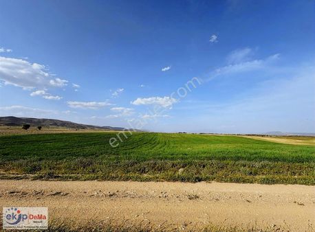 Tavuk Çiftliği Yapilabilir.26 Bin M2 Satılık Arazi