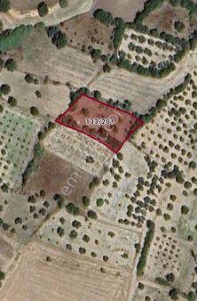 Çanakkale Ezine Üvecik Köyü 1 Dönüm 696.15 M2 İmar Sınırı Hobi Bahçeleri Olur Tarla Yolu Var Su Var