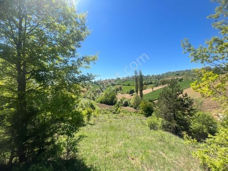 Müstakil Parsel 4.449m2 Yatırıma Uygun. Panoramik Manzaralı.tinyhouse İçin İdeal