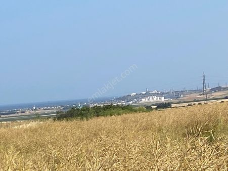 İstanbul Silivri Değirmenköy Sahibinden Satılık 210m2