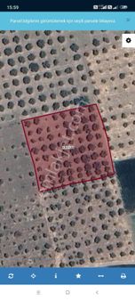 Kuzey Emlaktan Kaçırılmayacak Fırsat Zeytinlik !!