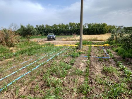 Kayalıoğlun Da İmara Yakın Koop Suyu Olan 670 M2 Bahçe 1.000.000 Tl