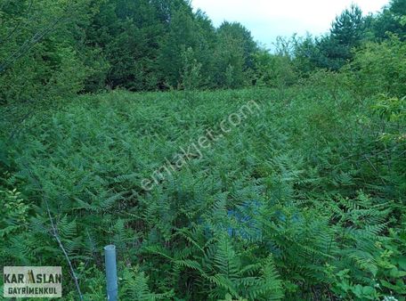 Başiskele Kazandere Köyünde Yola Cepheli Satılık Arsa