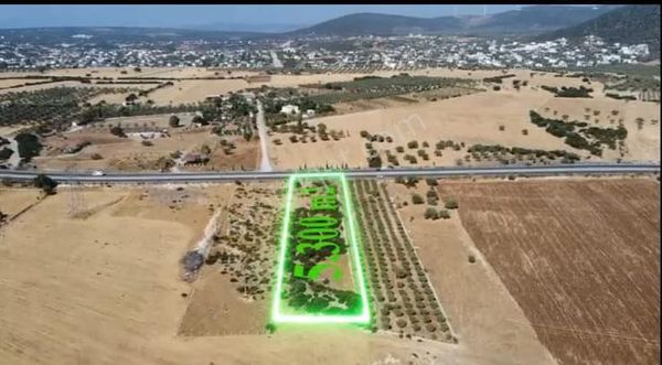 Anayola Sıfır 5.300 M2 Muhteşem Tarla
