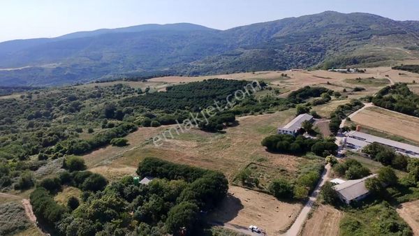 Feyzullah'tan Yukarıyapıcı'da 1800 M2 Mükemmel Konumda Tarla