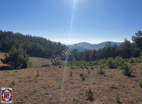Sakarya Geyve De 30 Dönüm Arazi