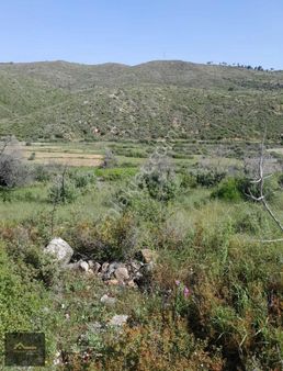 Bodrum Gökpınar Huzurlu Kaçış Noktası 1.577 M² Hobi Bahçesi