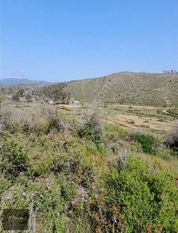 Bodrum Gökpınar'da Doğayla İç İçe Yatırımlık 4383 M² Arazi