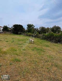 Akman Gayrimenkul'den İlyascılar Mah Satılık 544m2 Kesikler