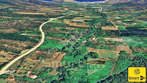 Şahinburgaz Çayağzı'nda 619 M² Satılık Zeytinlik