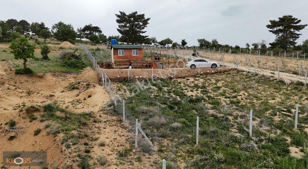 Kızılören De Satılık Bahçe