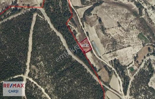 Muhteşem Konumda Yola 50 Metre Cepheli Çok Verimli Satılık Tarla